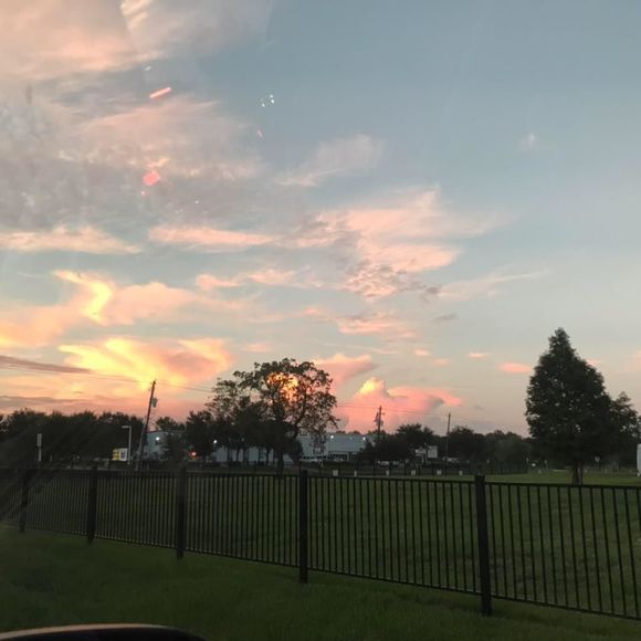 Meet your Posher, Lina - Picture 1 of 1